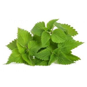 عصاره موضعی گزنه دکتر زرقانی