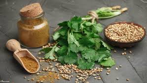 روغن گشنیز دکتر زرقانی