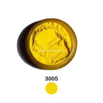 3005
